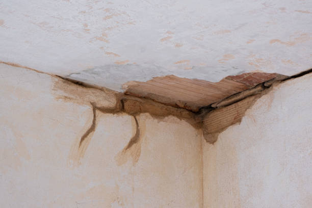 Best Carpet water damage restoration  in Berlin, NH