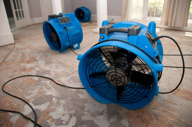 Best Professional water damage repair  in Berlin, NH